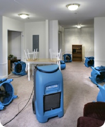 carpet dryers